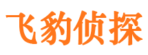 宿城情人调查